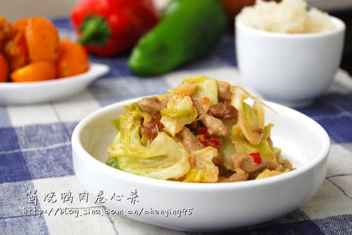 酱烧鸭肉卷心菜的做法