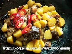 ������������������