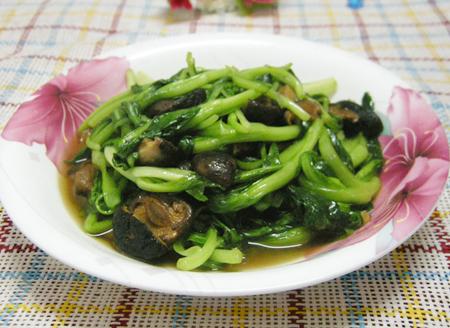 �㹽���������