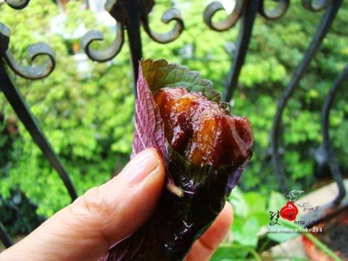 ���ƿ��������