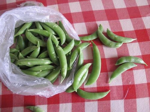 蘑菇炒甜豆的做法