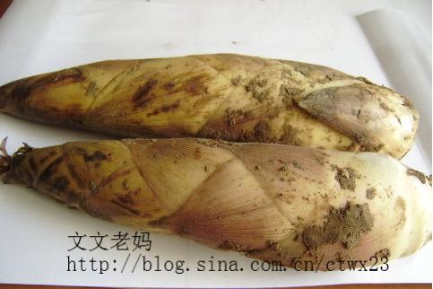 ����«�������