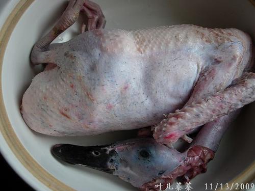 ��Ѽ��ͷ�ҵ�����