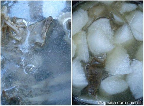 ���ܲ������ŵ�����