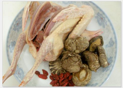 �㹽����������