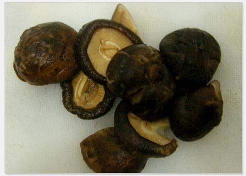 �㹽����������