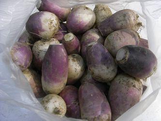 ���ս��ܲ��ɵ�����