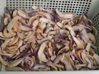 ���ս��ܲ��ɵ�����