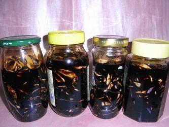 ���ս��ܲ��ɵ�����