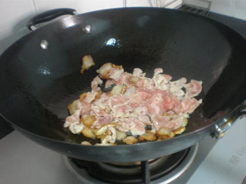 �ݽ�����Ƭ������