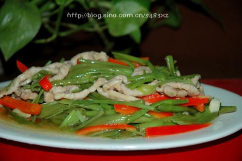 ���Ĳ˹���˿������