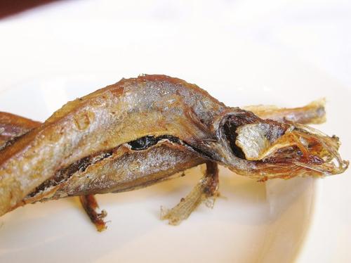 ��ըС�������