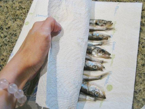 ��ըС�������