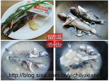 �����㶹����������