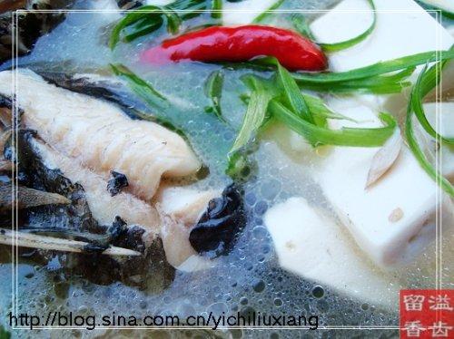 �����㶹����������