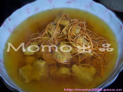 虫草花煲瘦肉的做法