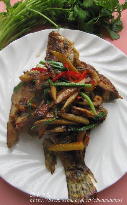 姜葱煎焗桂鱼块的做法