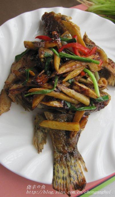 姜葱煎焗桂鱼块的做法