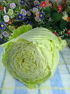 虾酱黄豆白菜的做法