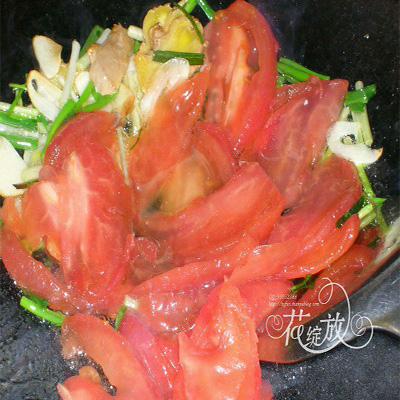 ˮ����Ƭ������