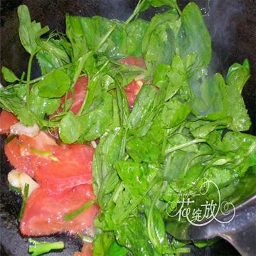 ˮ����Ƭ������