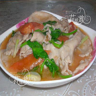 ˮ����Ƭ������