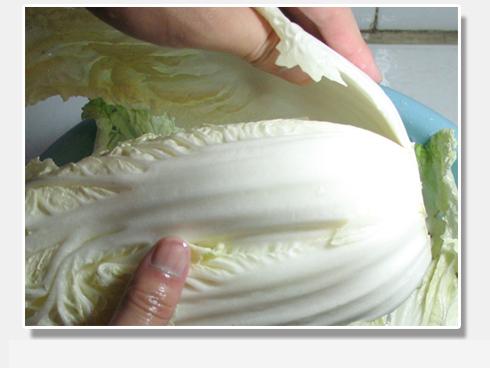 白菜炒粉条的做法