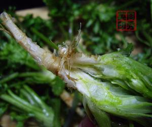 凉拌香菜根的做法