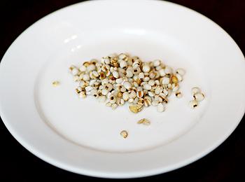 ޲�׶�����ţ�ξ����ӵ�����