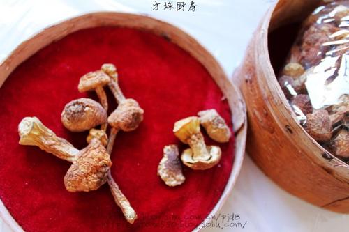 �����Ź���������