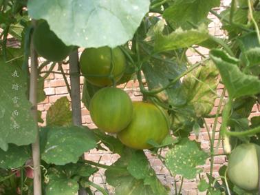 ���ܹ�����������