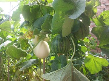 ���ܹ�����������