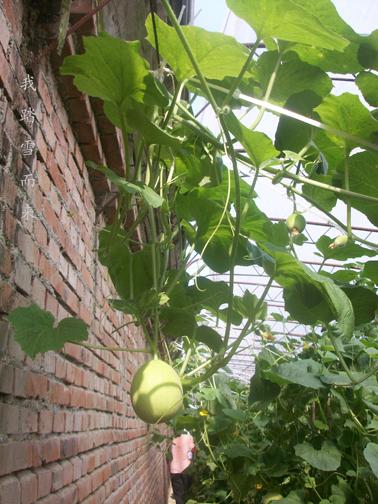 ���ܹ�����������