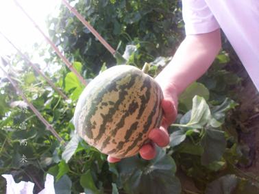 ���ܹ�����������