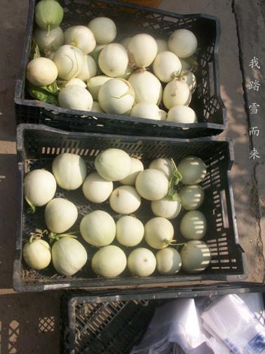 ���ܹ�����������