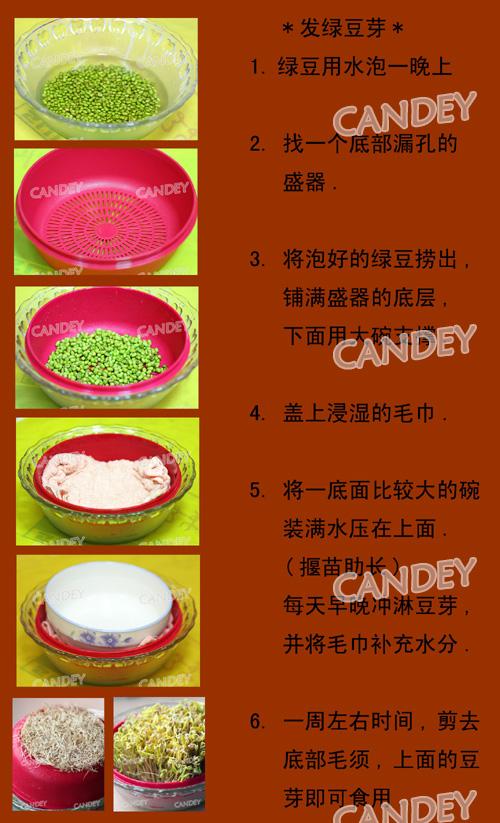 �۲�����������