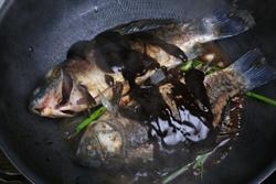 酱熬鲫鱼的做法