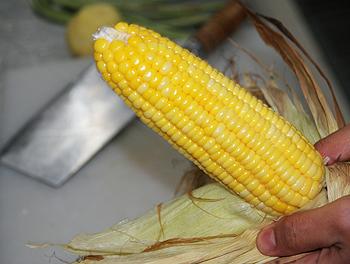 �ƽ�������԰ɳ��������