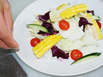 �ƽ�������԰ɳ��������