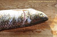 ơ�������������