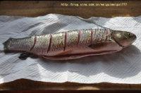 ơ�������������