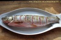 ơ�������������