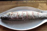 ơ�������������