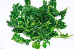 ���㴩����������