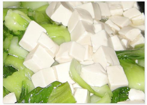 青菜豆腐的做法