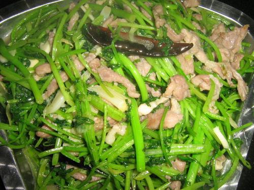 香菜炒瘦肉的做法