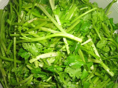 香菜炒瘦肉的做法