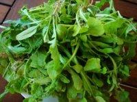 ����������������