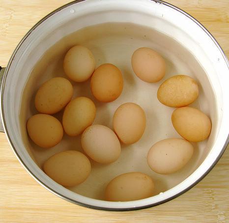 ������±��������