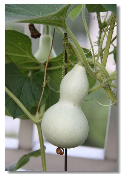 ��«������������